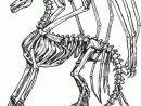 Coloriage Squelette Dragon À Imprimer serapportantà Squelette A Imprimer