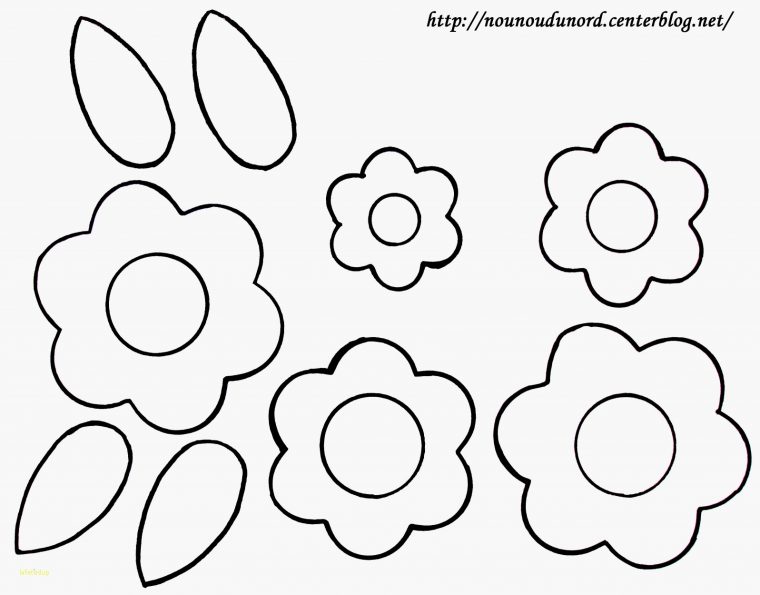Coloriages À Imprimer : Fleurs, Numéro : 36E2E1F5 concernant Colorino A Imprimer