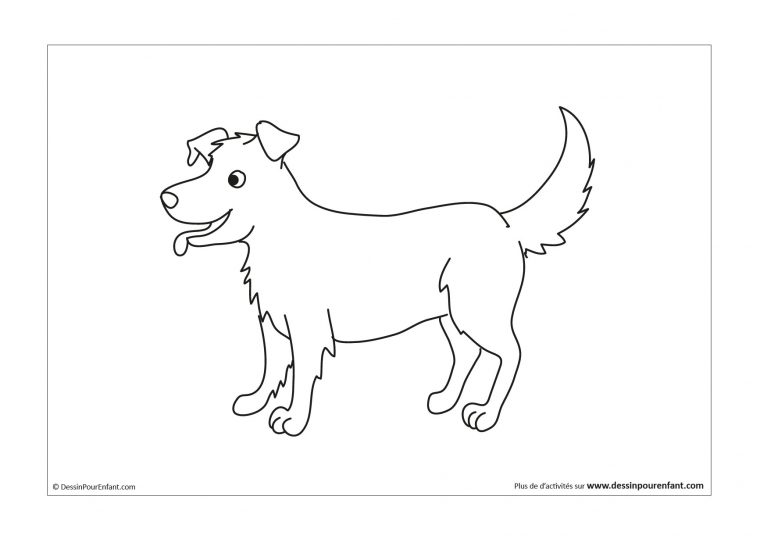 Comment Dessiner Un Chien En 6 Étapes – Dessin Pour Enfant avec Dessin Tracteur Facile