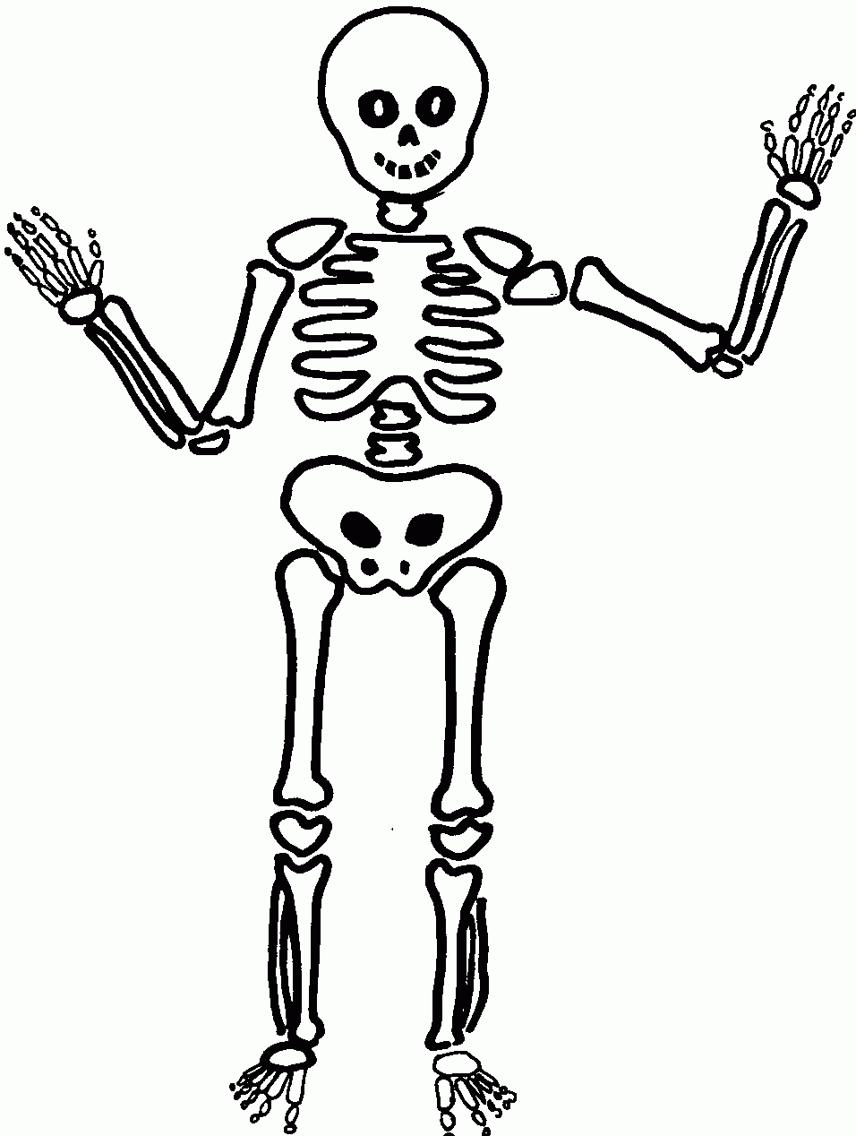 Comment Dessiner Un Squelette | Dessin Squelette, Dessin dedans Squelette A Imprimer