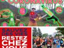 Coronavirus | Coronavirus En Savoie : Chiffres Et Courbes De tout Chanson Des Chiffres En Français