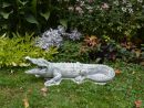 Crocodile Géant Reptile - Gartendekoparadies.de serapportantà Photo De Crocodile A Imprimer