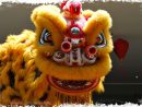 Danse Du Lion &amp; Dragon pour Spectacle Danse Chinoise