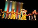 Danse Du Lion - Lu Yun Ling Wushu - Prestations Partout En concernant Spectacle Danse Chinoise