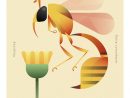 Des Insectes Géométriques Parcourent Une Flore Clairsemée avec Les Noms Des Insectes