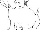 Dessin #1105 - Coloriage Labrador À Imprimer - Oh-Kids avec Coloriage Labrador