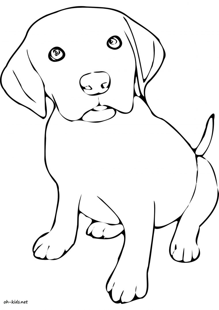 Dessin #1105 – Coloriage Labrador À Imprimer – Oh-Kids avec Coloriage Labrador