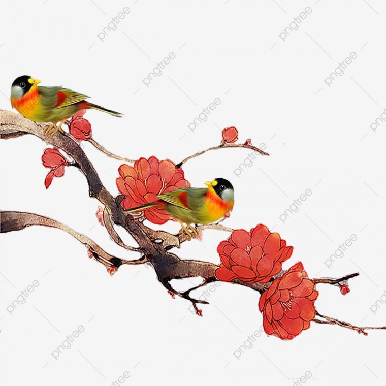 Dessin Animé Oiseau Fleurs Rouges Dessin Animé Oiseau avec Images D Oiseaux Gratuites
