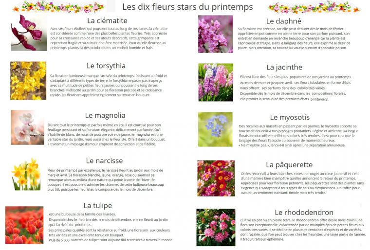 Dix Fleurs De Printemps pour Fleur Qui Pousse Au Printemps