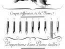 File:ecriture-Tailleplume-Encyclopedie - Wikimedia Commons avec Image Écriture