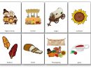 Flashcards Sur Le Thème De Thanksgiving En Anglais - Imagier serapportantà Frere Jacques Anglais