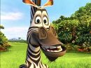 Grace Risenhoover On Twitter: &quot;duvuiry Lookin Like The Zebra serapportantà Madagascar Zebre