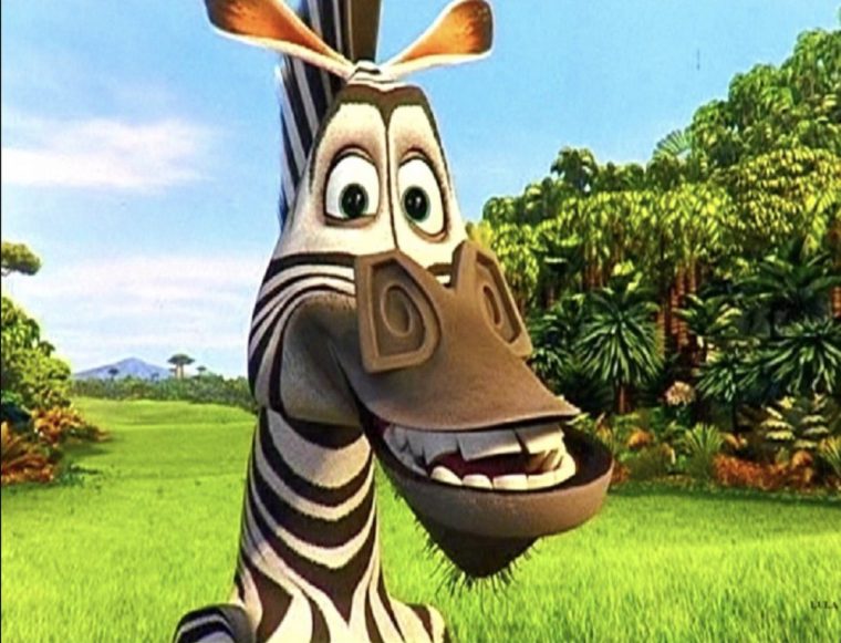 Grace Risenhoover On Twitter: "duvuiry Lookin Like The Zebra serapportantà Madagascar Zebre