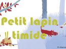 Henri Dès Chante - Petit Lapin Timide - Chanson Pour Enfant serapportantà Chanson Enfant Lapin