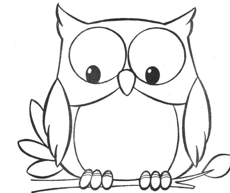 Hibou Dessin Facile Résultats De Recherche | Coloriage Hibou destiné Coloriage Labrador