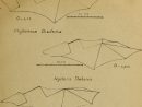 Image From Page 16 Of &quot;considérations Sur Une Chauve-Sour intérieur Origami Chauve Souris