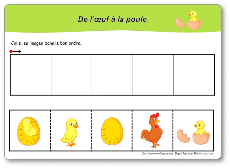 Images Séquentielles : De L'œuf À La Poule – avec Images Séquentielles Maternelle