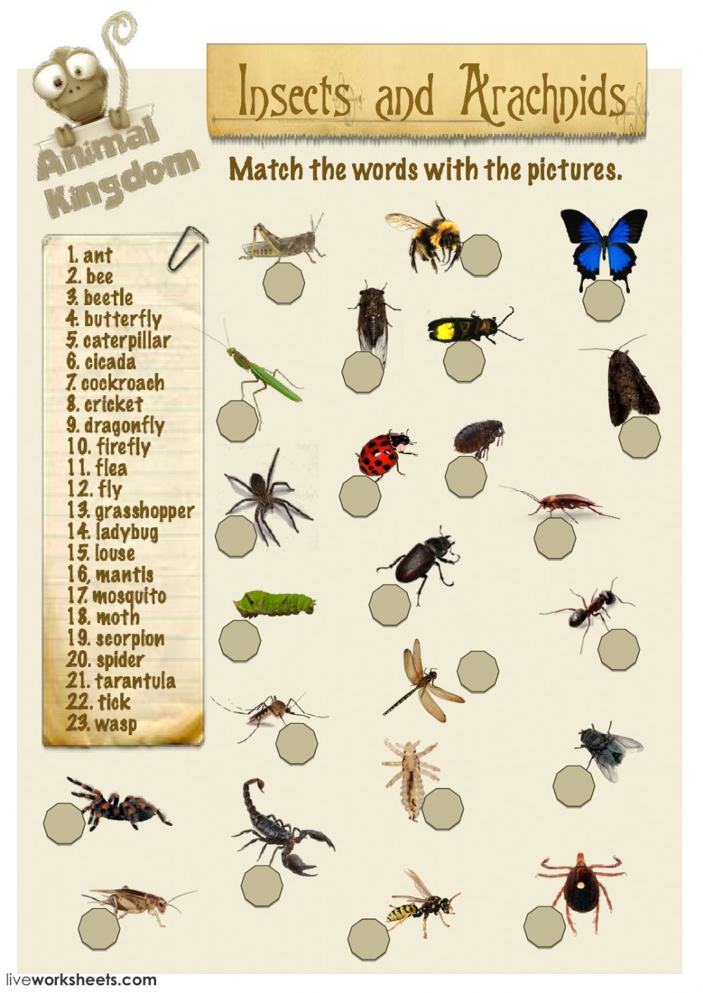 Insectes-Insects – My-Teacher.fr : Apprendre L'anglais Par L destiné Les Noms Des Insectes