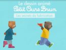 J'ai Filmé Petit Ours Brun Au Smartphone - Videonline destiné Petit Ours Brun Dessin Animé Gratuit