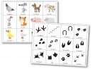 Jeu De Mémoire Des Empreintes D'animaux De La Ferme - Jeu destiné Jeux De Mémoire Visuelle À Imprimer