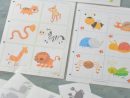 Jeu D'ombres À Imprimer Et Plastifier (Avec Images) | Jeux pour Jeux Enfant Maternelle