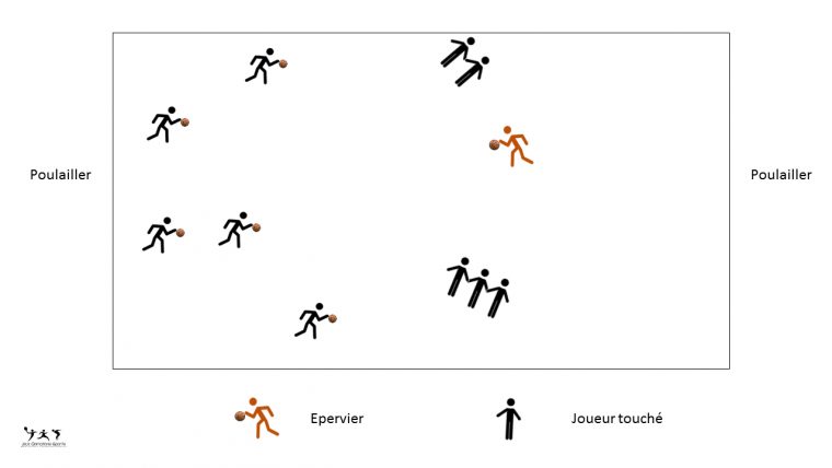 Jeu L'épervier Version Basket – Travail Du Dribble Au Basket destiné Jeux Collectifs Cycle 3 Sans Ballon