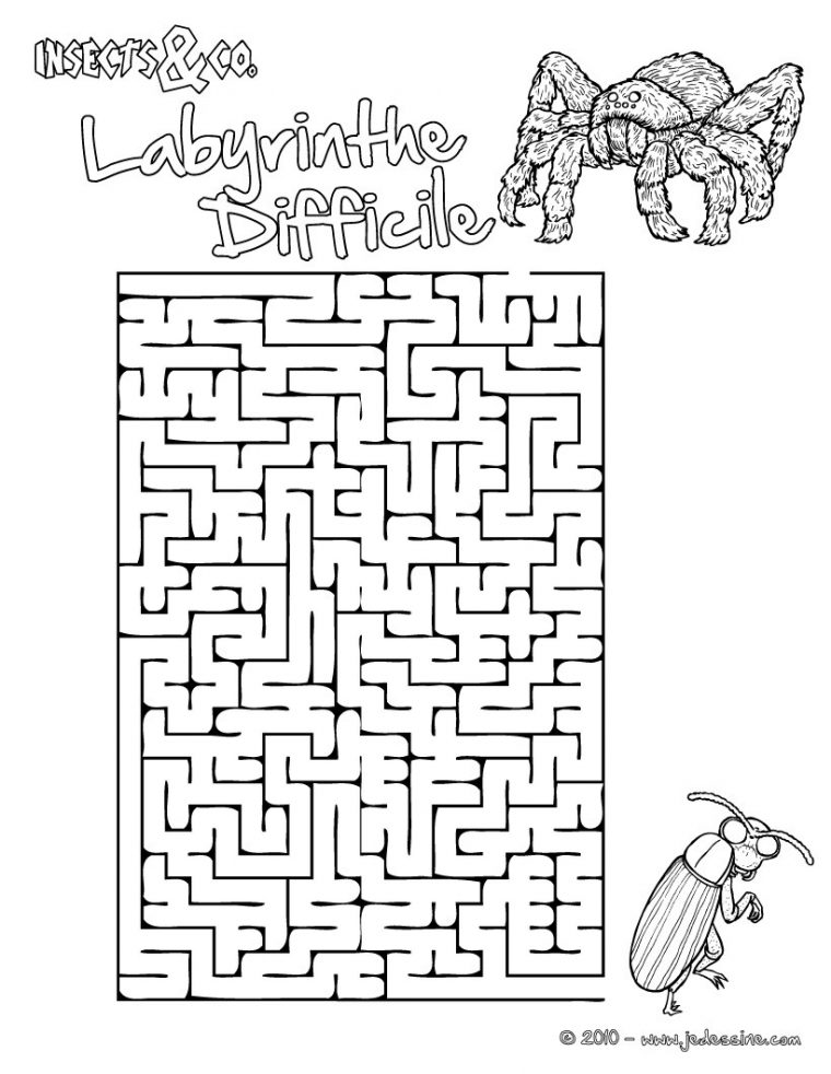Jeux De Labyrinthe Difficile Insects&co – Fr.hellokids concernant Labyrinthe Difficile