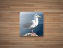 Jeux De Puzzle Oiseaux Gratuit Pour Android - Téléchargez L'apk dedans Images D Oiseaux Gratuites