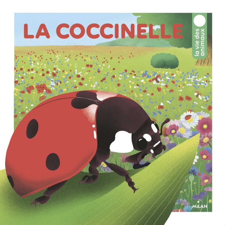 La Coccinelle – Editions Milan intérieur Coccinelle A Coller