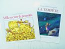 La Librairie Madrid: Le Grand Claude Ponti À La Librairie avec La Tempête Claude Ponti