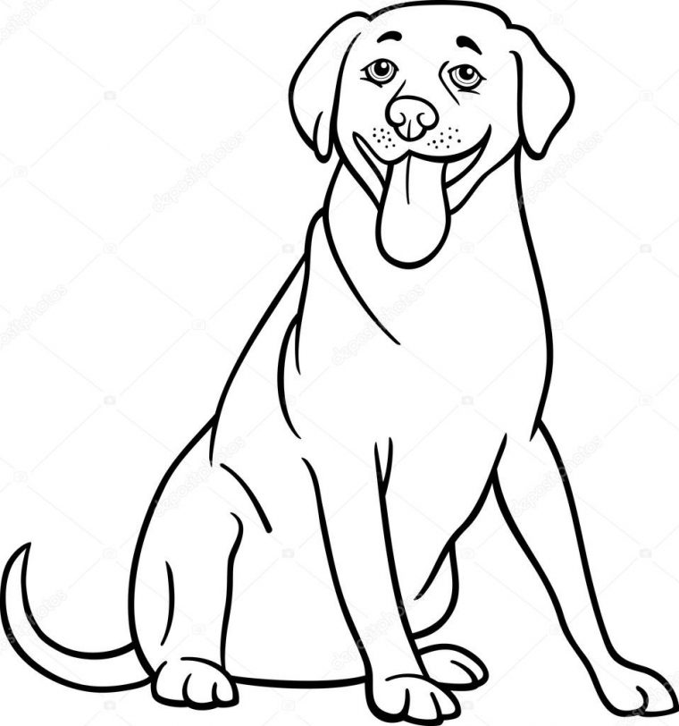 Labrador Retriever Dog Cartoon For Coloring — Stock Vector avec Coloriage Labrador