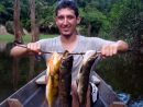 L'amazonie (10/10-17/10) | Vagabondages Australs pour Dauphin Amazonie
