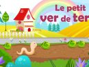 Le Petit Ver De Terre - French Nursery Rhyme For Kids And Babies (With  Lyrics) dedans L As Tu Vu Paroles
