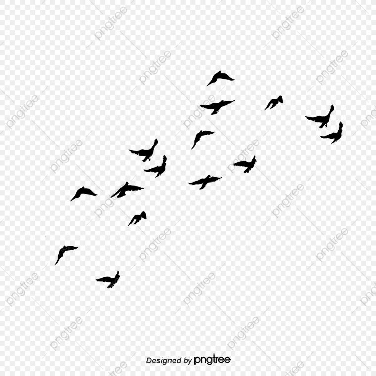 Le Vol D'oiseau, Voler, Le Ciel, Petit Oiseau Fichier Png Et pour Vol Petit Oiseau