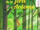 Les Animaux De La Forêt D’Ardenne à Image D Animaux De La Foret