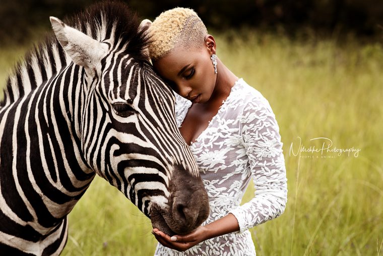 Les Animaux Sauvages De L'afrique Du Sud – Nitschke Photography pour Animaux Sauvages De L Afrique