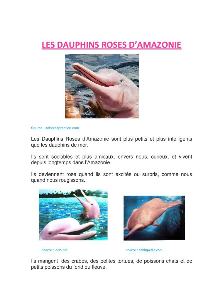 Les Dauphins Roses By Samagass – Issuu destiné Dauphin Amazonie