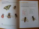 Les Petits Colibris De La Nature - Ressources Pour S'amuser serapportantà Les Noms Des Insectes