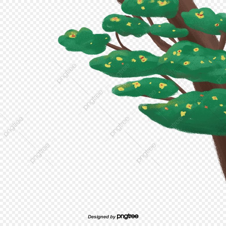 Les Pins Qui Poussent Au Printemps, Fleur, Printemps, Pine à Fleur Qui Pousse Au Printemps