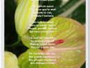 Les Poèmes De Fleurs En Images Par Aloé Fleurs | Fleurs dedans Poeme Les Fleurs