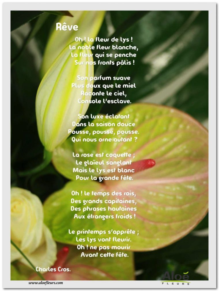 Les Poèmes De Fleurs En Images Par Aloé Fleurs | Fleurs dedans Poeme Les Fleurs