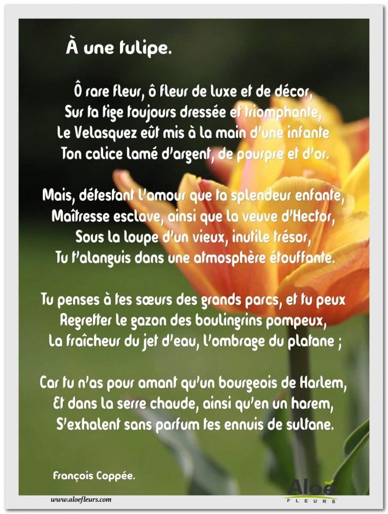 Les Poèmes De Fleurs En Images Par Aloé Fleurs | Fleurs serapportantà Poeme Les Fleurs