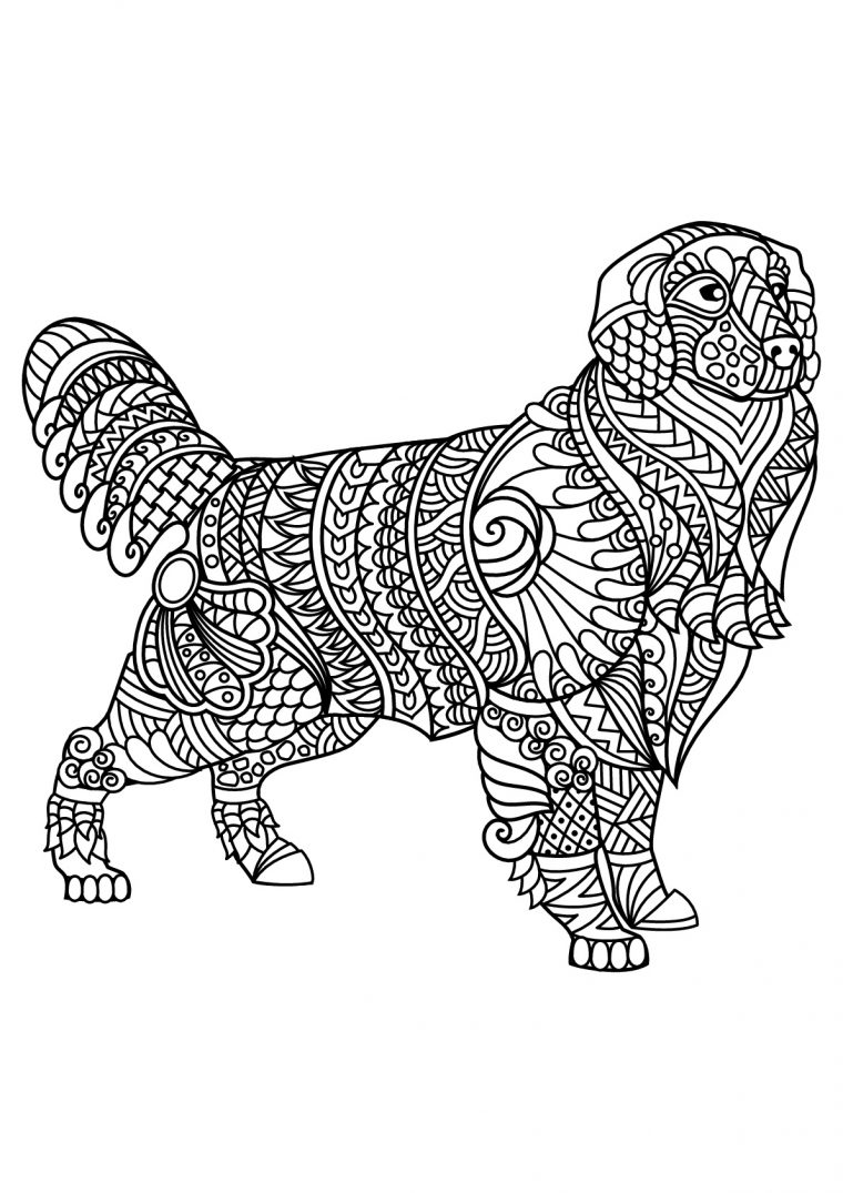 Livre Gratuit Chien Labrador – Chiens – Coloriages pour Coloriage Labrador