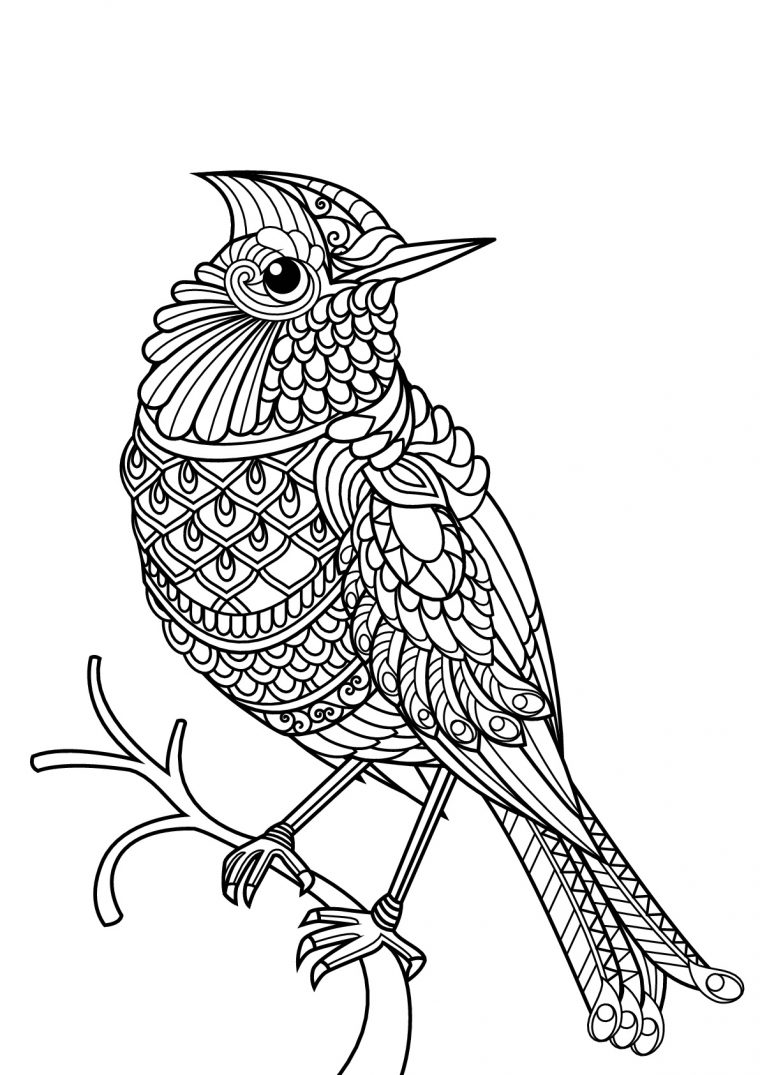 Livre Gratuit Oiseau – Oiseaux – Coloriages Difficiles Pour encequiconcerne Images D Oiseaux Gratuites