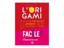L’Origami Facile – Livre En Français dedans Origami Facile A Faire En Français