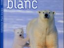 L'ours Blanc - Christian Kempf - L'escargot Savant - Grand Format - Le Hall  Du Livre Nancy dedans Ours Savant