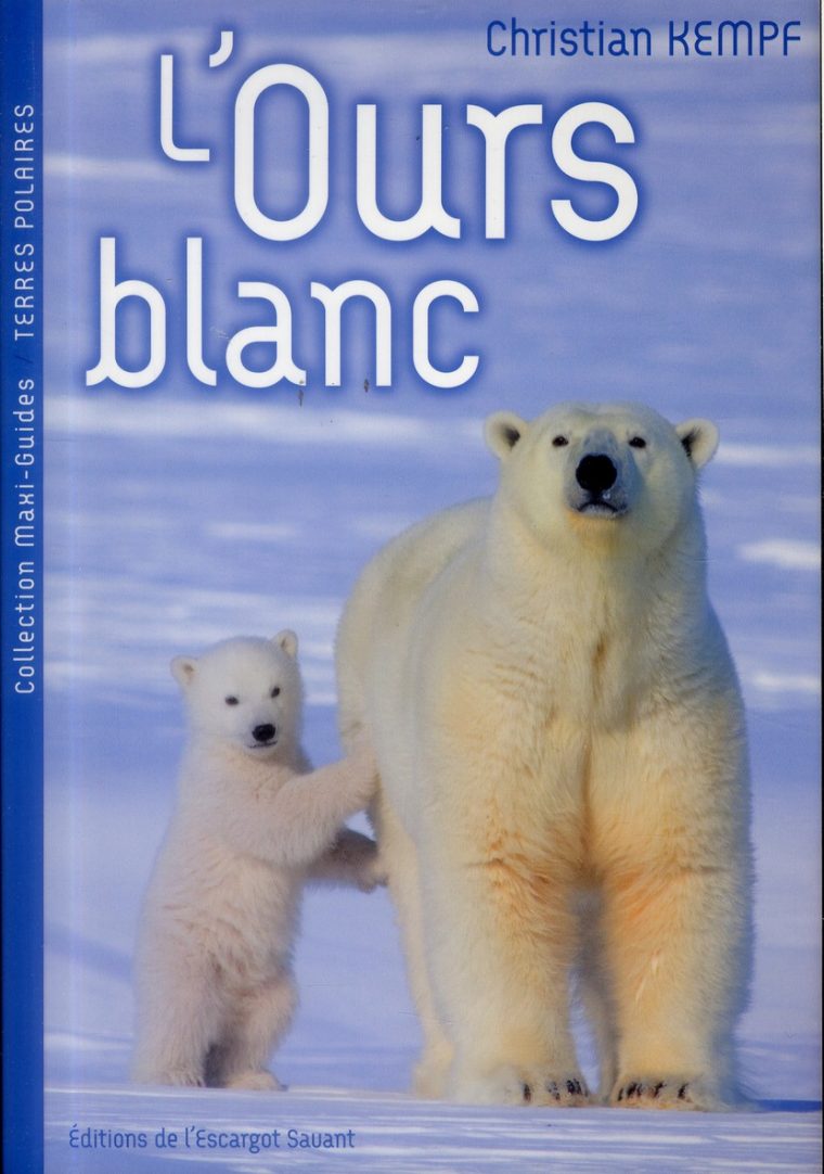L'ours Blanc – Christian Kempf – L'escargot Savant – Grand Format – Le Hall  Du Livre Nancy dedans Ours Savant