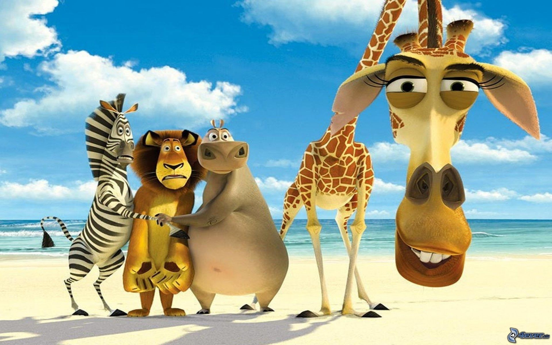 Madagascar concernant Madagascar Zebre