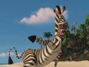 Madagascar ~ Marty's Landing On The Coast Of Madagascar encequiconcerne Madagascar Zebre