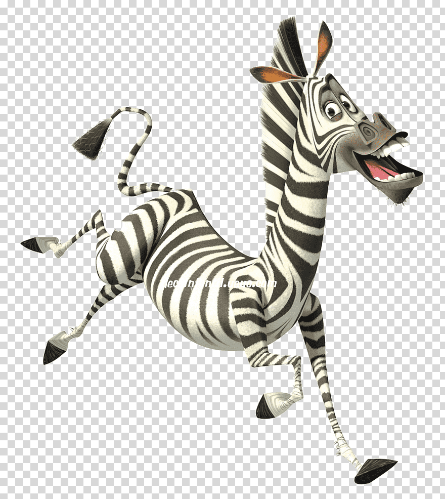 Marty Alex Melman Madagascar: Escape 2 Africa , Zebra encequiconcerne Madagascar Zebre